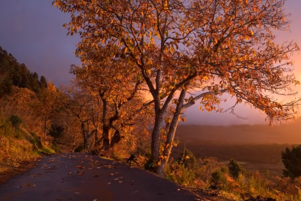 Imagen de un atardecer