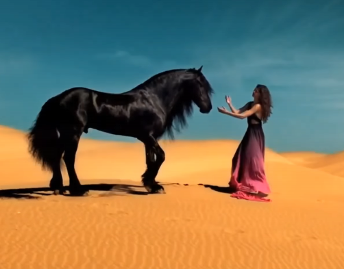 caballo en desierto