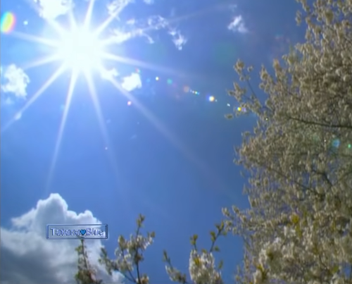 sol brillando