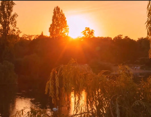 una puesta de sol