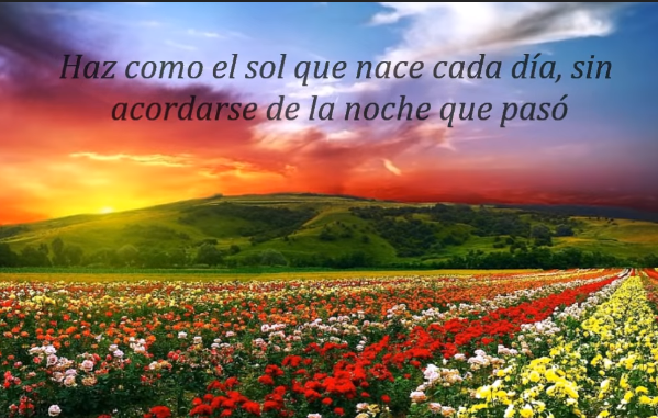 sol brillando