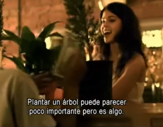 plantar un arbol