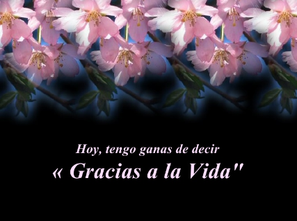 flores y gracias