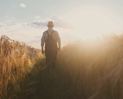 hombre caminando en el campo