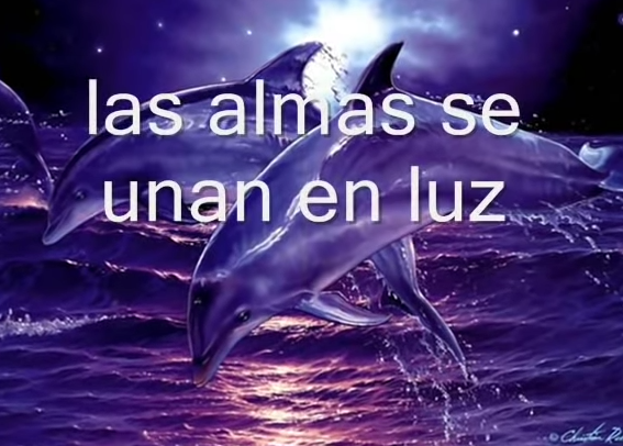 delfines
