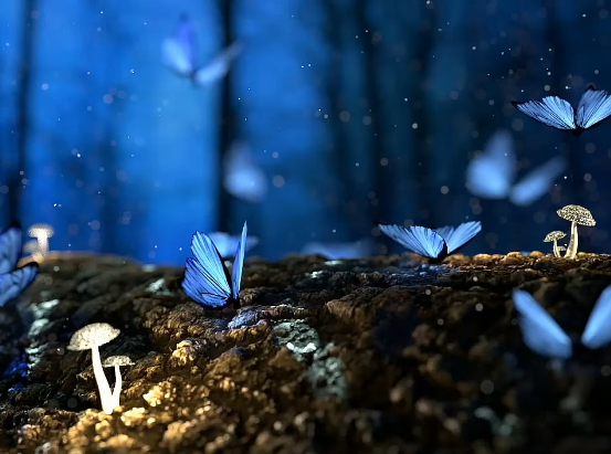 mariposas azules