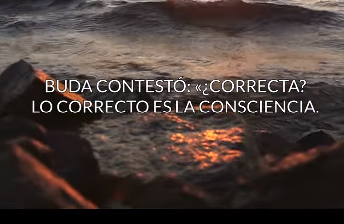 consciencia