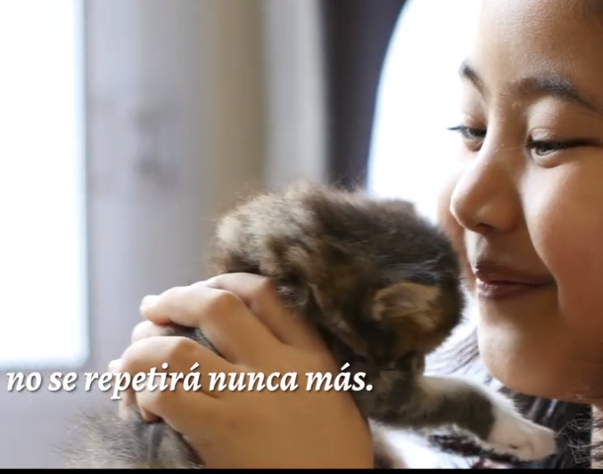 niña con gato
