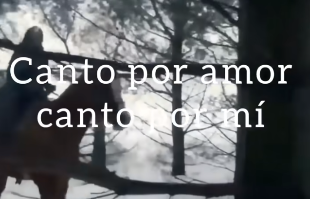 canto por amor