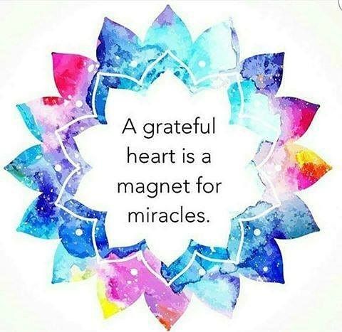 la gratitud atrae