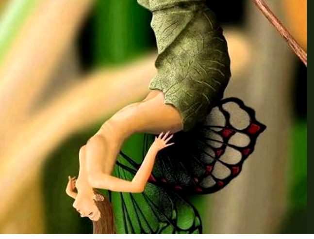 mariposa